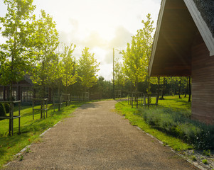 Walkway in beautiful green park