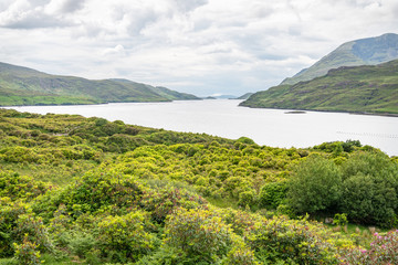 Killary Fjord, Co Mayo and Co Galway, Ireland