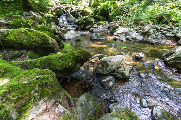 Wandern im Schwarzwald durch Wald und an Flüssen