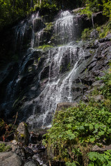 Wandern im Schwarzwald durch Wald und an Fl&uuml;ssen