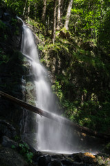Obraz premium Wandern im Schwarzwald durch Wald und an Flüssen