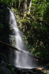 Wandern im Schwarzwald durch Wald und an Flüssen