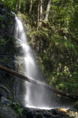 Fototapeta premium Wandern im Schwarzwald durch Wald und an Flüssen