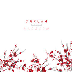 Watercolor Sakura Blossom - Japanese Cherry Tree. Artistic Branch Plum Blossom Border.