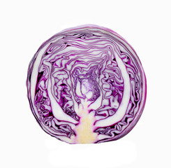 Purple cabbage slices  on white background