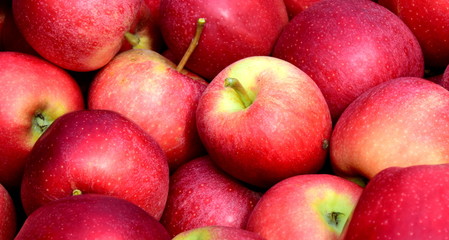 Fototapeta na wymiar Knackige saftige rote Äpfel - Textur Hintergrund 