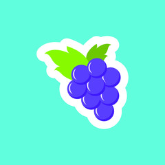 grapes vector icon, vector outline