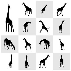Set of Giraffe Logo Vector. Animal Giraffe Logo Design Template Illustration