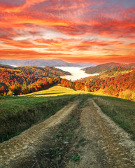 Autumn colorful landscape in mountains at sunset