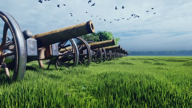 Medieval cannons in the field, in the middle of green grass on a cloudy day, before the battle.