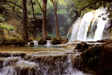 waterfall in forest - 285787721