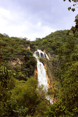 waterfall in national park - 285787769