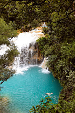 waterfall in the forest