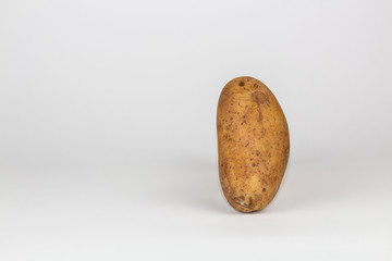 Fototapeta na wymiar Una patata su sfondo bianco