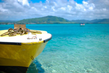 ile aux aigrettes on mauritius