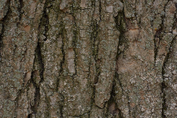texture 