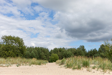 Fototapeta na wymiar Classical Baltic beach landscape