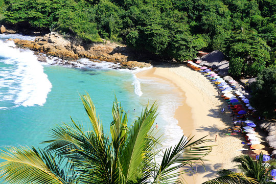 beach in the jungle