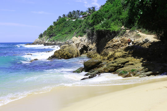 tropical beach