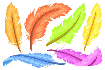 Set of colorful feathers, different shapes and colors. Cartoon and flat style. Vector illustration on white background.