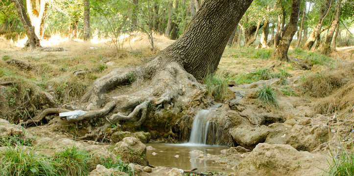Ain vittel ifrane marocco 