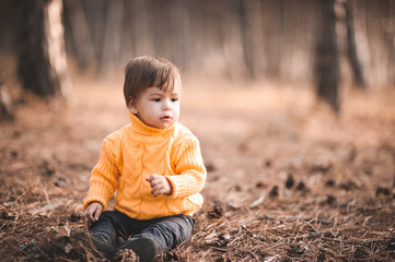 Naklejka na ściany i meble Stylish baby boy wearing knitted yellow sweater sitting in forest outdoors. Autumn season. Childhood.