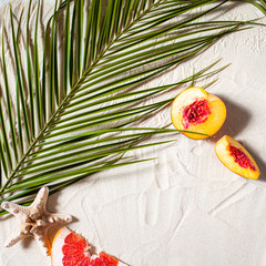 Beach vacation. A palm leaf, starfish, and white tree branch and juicy fruits lie on white fine sand. Desktop wallpaper.