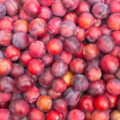 Plums harvest for texture or background