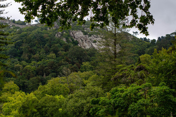 Fototapeta premium Mountain rocks in green area in Sintra park Portugal