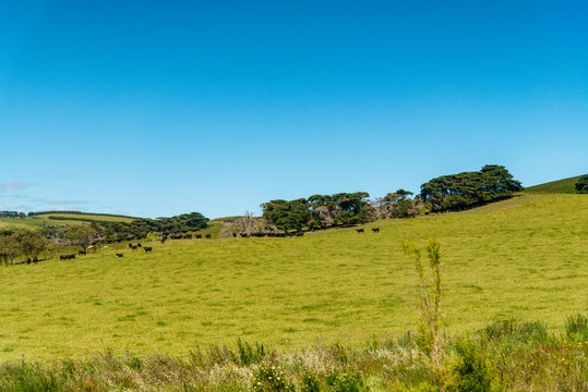 Farm In Yarra Valley Melbourne