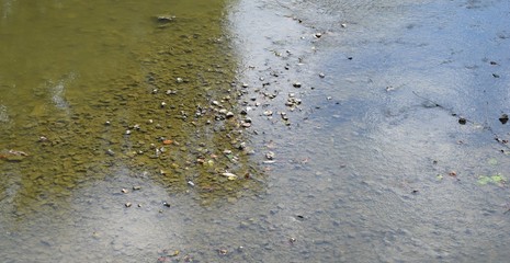 Stones in a stream bed (riverbed)