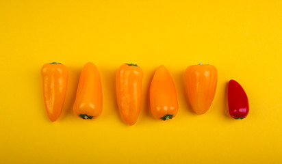 Mixed Chilis on yellow background