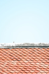 Tile Roof pattern background with color tone sunlight.