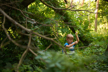 boy 5-6 years old in the dense deciduous forest in summer