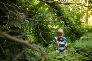 boy 5-6 years old in the dense deciduous forest in summer