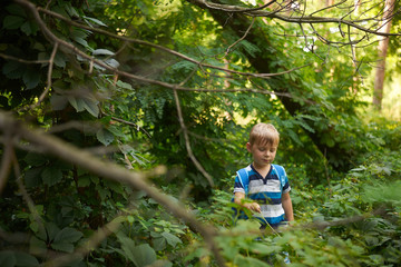 boy 5-6 years old in the dense deciduous forest in summer