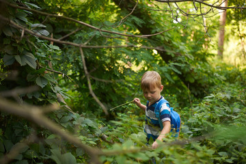 boy 5-6 years old in the dense deciduous forest in summer