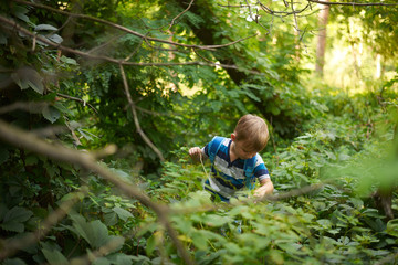 boy 5-6 years old in the dense deciduous forest in summer