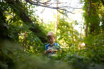 boy 5-6 years old in the dense deciduous forest in summer