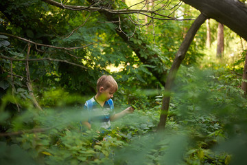boy 5-6 years old in the dense deciduous forest in summer