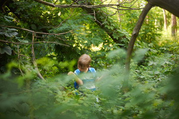 boy 5-6 years old in the dense deciduous forest in summer
