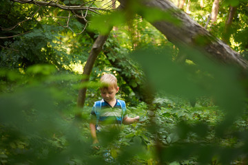 boy 5-6 years old in the dense deciduous forest in summer