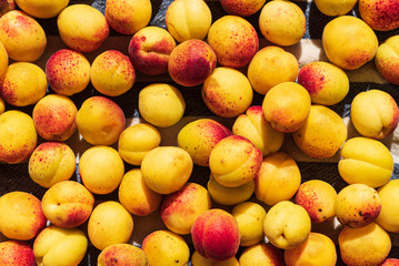 background of ripe organic apricots