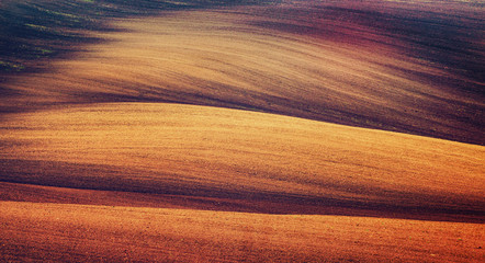 Earthy abstract background