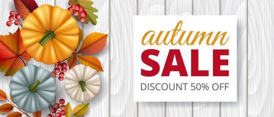 Horizontal banner with white wood background, pumpkin, leaf, red berry fro top for autumn design. Vector illustration for autumn sale design, Thanksgiving template, or fall season background