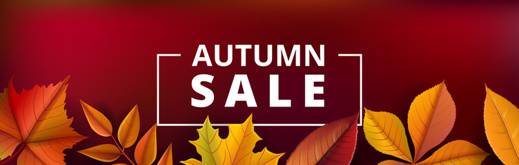 Autumn sale horizontal banner with yellow leaf on dark red background. Vector illustration for fall season sale, special offer for Thanksgiving or autumn banner design