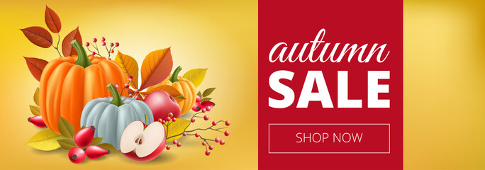 Sale banner for autumn with pumpkin, apple, leaf, berry and leaf, on yellow background. Vector illustration with harvest season plant, for sale template design, special offer or Thanksgiving card