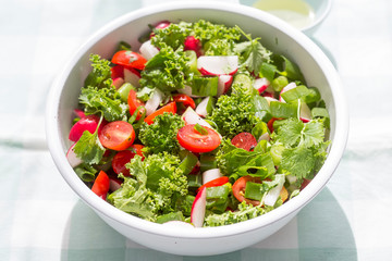 Kale, radish, green onion, coriander salad 