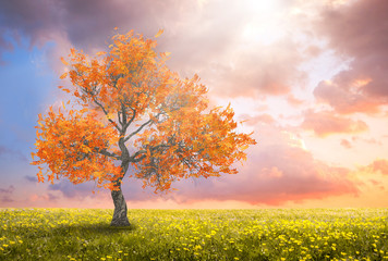 a fantasy landscape with yellow autumn tree