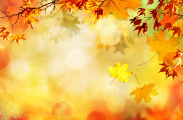 Naklejka na ściany i meble autumn natural background